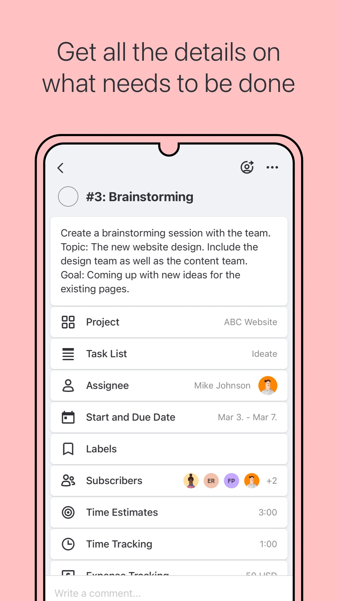 ActiveCollab: Work Management screenshot